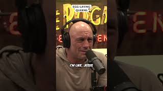 Egg-laying Queens - Oliver Anthony #jre #shorts