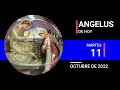 Angelus de hoy, Martes 11 de Octubre de 2022