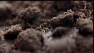 Download lagu 2  Cornetto