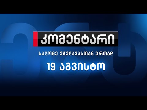 კომენტარი: როგორ გეგმავს ხმების დაცვას ოპოზიცია -19 აგვისტო