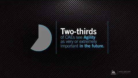 2018 Pulse of Internal Audit