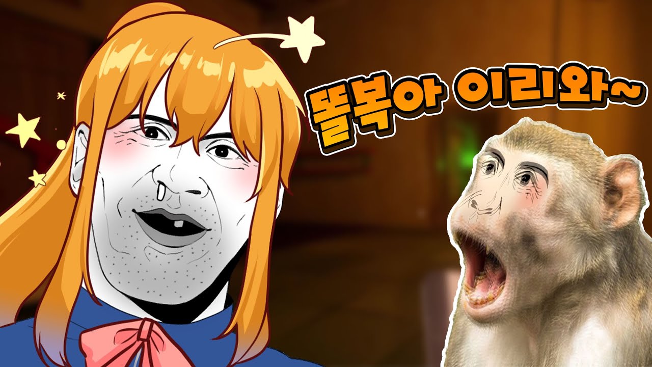 원숭이들 사이에 숨어있는 나저씨 피하기