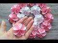 Цветы из бумаги