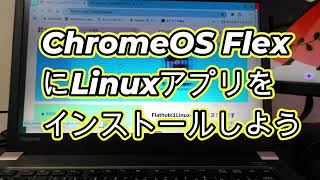 Full Install Linux apps on ChromeOS Flex! Transform your PC into a super convenient one! Guide