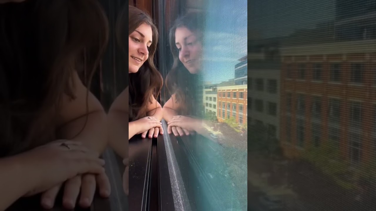 CitizenM Hotel, Seattle 