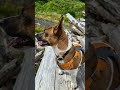 Gus 06/23/2024