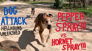 DOG ATTACK 101: HELLHOUNDS UNLEASHED w/Amputee Cyclist Aaron Smith in Callisburg, TX