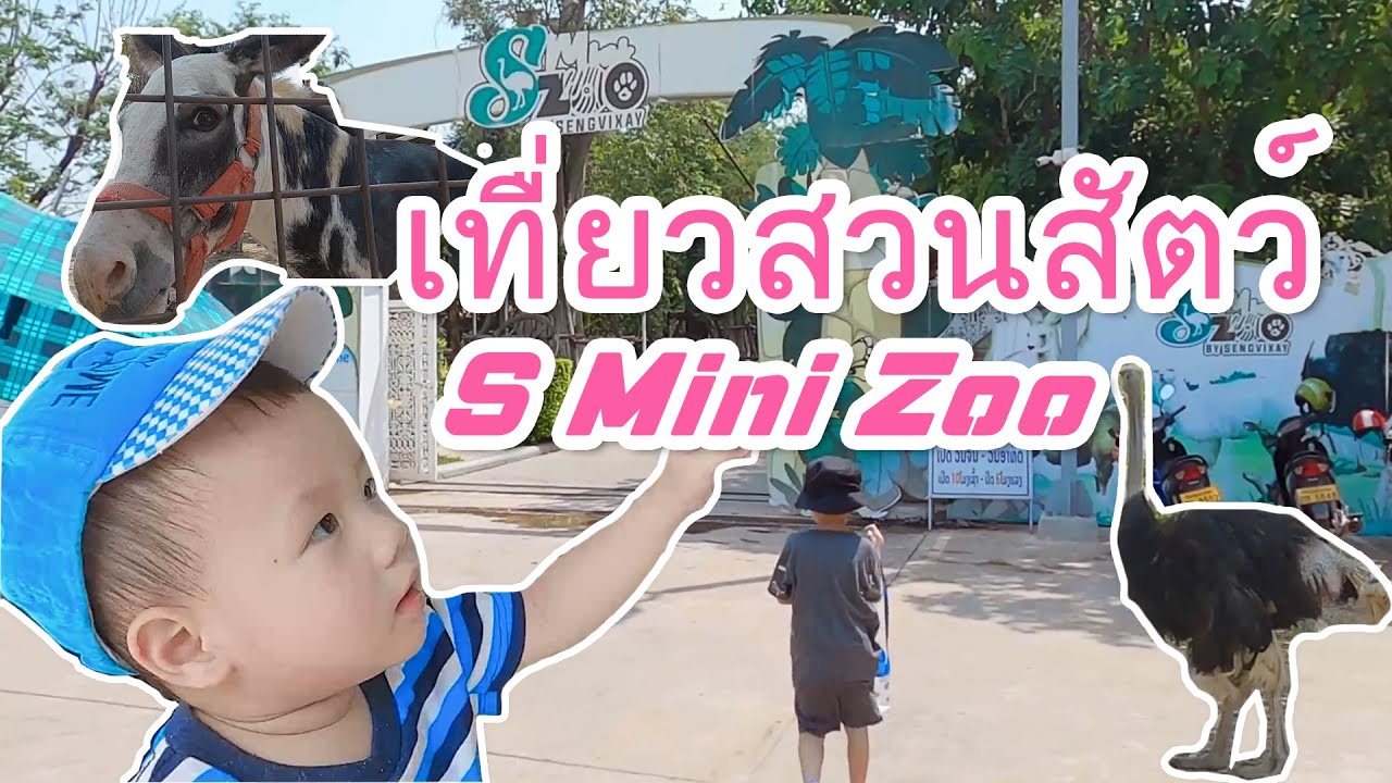 ເລາະສວນສັດ ແສງວິໄຊ ມິນິຊູ เที่ยวสวนสัตว์ S Mini Zoo Vientiane YouTube