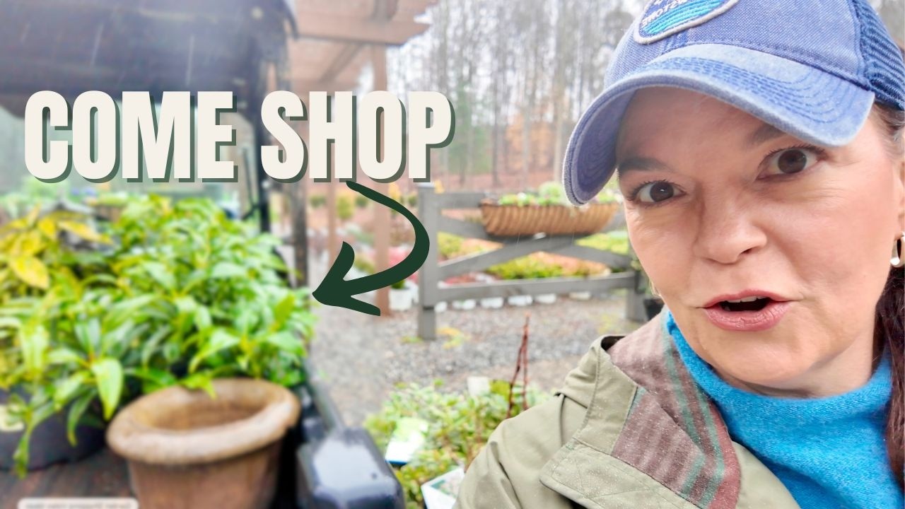 Приходите со мной в мой садовый центр за покупками! Растения, которые я добавляю в свой сад.