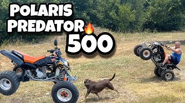 Polaris Predator 500