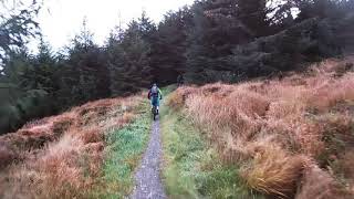 Red Trail Rostrevor