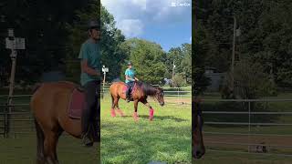 Small pin work with mocha 😛🫶 #horse #equestrian #dressage