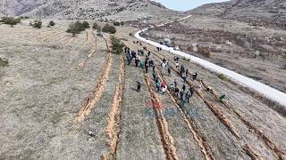 Дел Од Локалитетот „Маркови Kули“ Пошумен Со 6.000 Садници На Даб