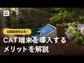 【CAT端末とは】モバイル決済端末との違いを解説