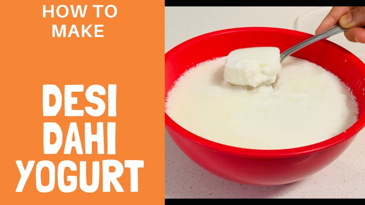How to make Homemade Yogurt Curd at Home Desi Dahi ಗಟ್ಟಿ ಮೊಸರು