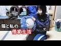 仕事から帰ると猫達が待っている!破壊神ねねこ!