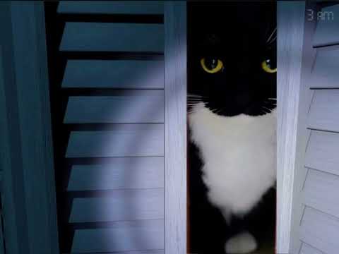 Превью для «the meow behind the slaughter»