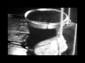 Capture de la vidéo Apskaft Battleship Potemkin - 05 [ Hox Vox ] - The Men Refuse To Eat The Soup - The Ship Store