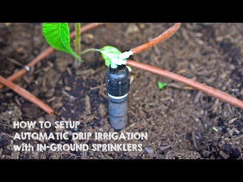 How to Setup Drip Irrigation with In-Ground Sprinklers