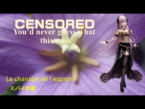 【Megurine Luka】スパイの歌：  La chanson de l'espion. 【Vocaloid 2】巡音ルカ