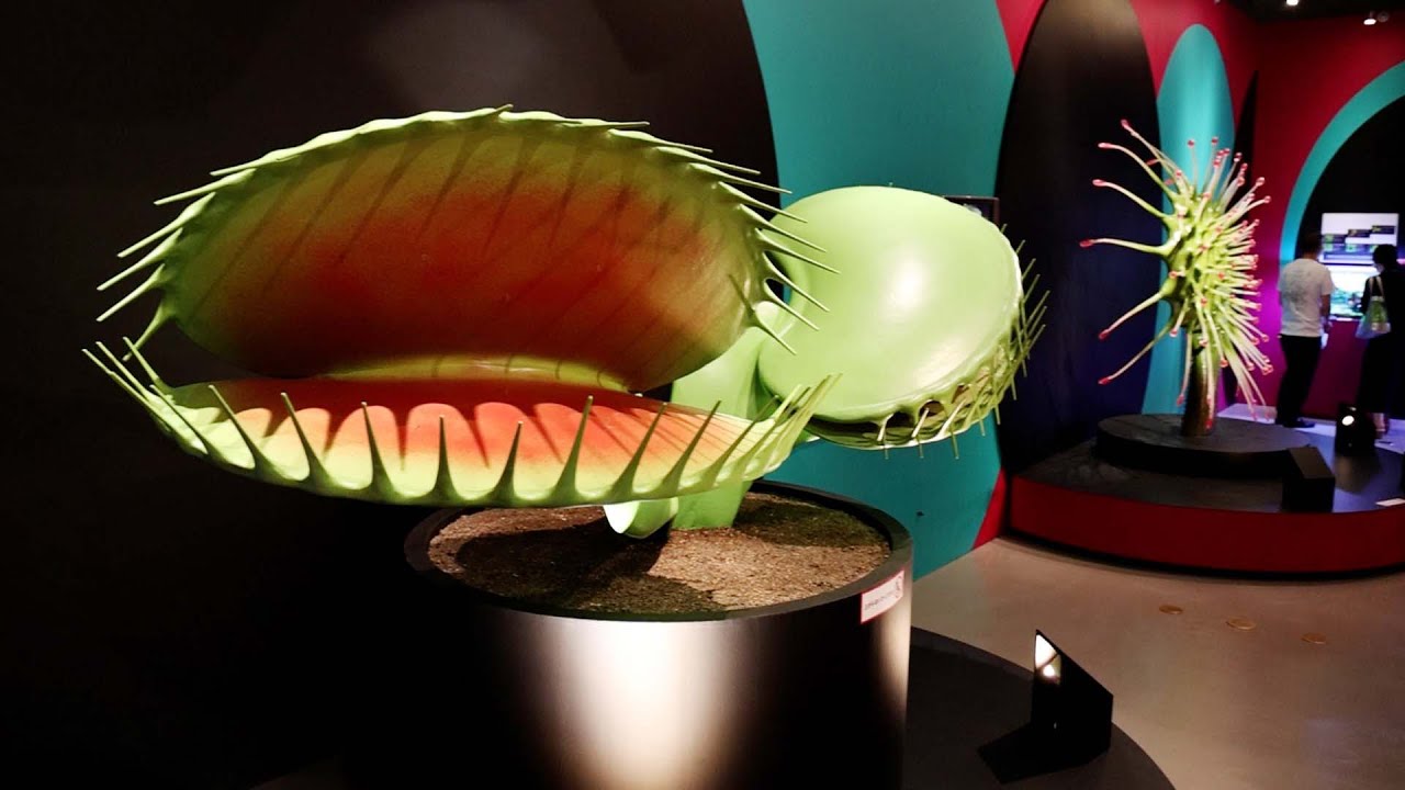 特別展「植物 地球を支える仲間たち」 国立科学博物館 - YouTube