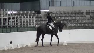 2019-1-20 Ricarda First level test 3   79.861%