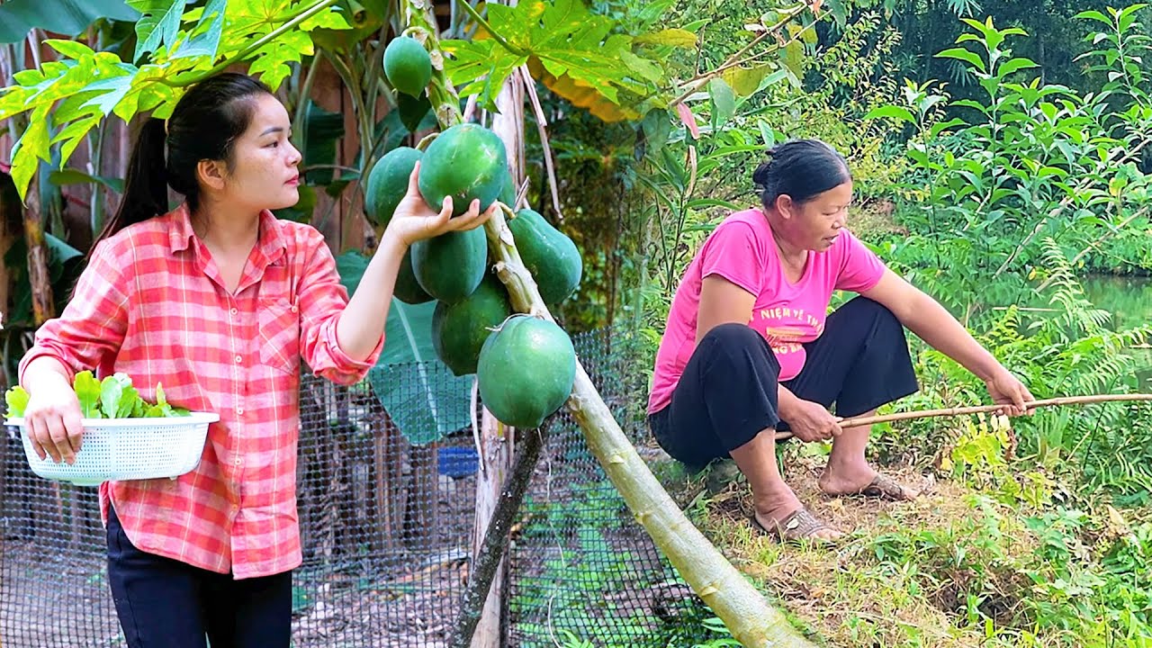 Happy couple sold wild boar meat and made smoked pork together while mother-in-law stayed selfish