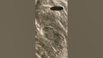 infinity zoom coin drop #infinity #zoom #short #animation #blender