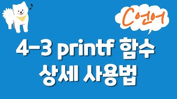 C언어 기초 강의 4-3 : printf 함수 상세 사용법