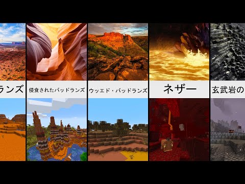 比較:マインクラフトバイオーム・イン・リアル・ライフ (2020)