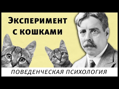 Эдвард Торндайк, эксперимент с кошками в проблемном ящике (поведенческая психология, бихевиоризм)