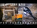 POV Photography with Sigma 100-400mm and Sony A7III - Photographing Rural Japan