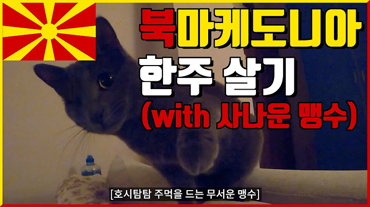 북마케도니아 한주 살기(with 사나운 맹수)  - 🇲🇰 북마케도니아, 스코페 [3]