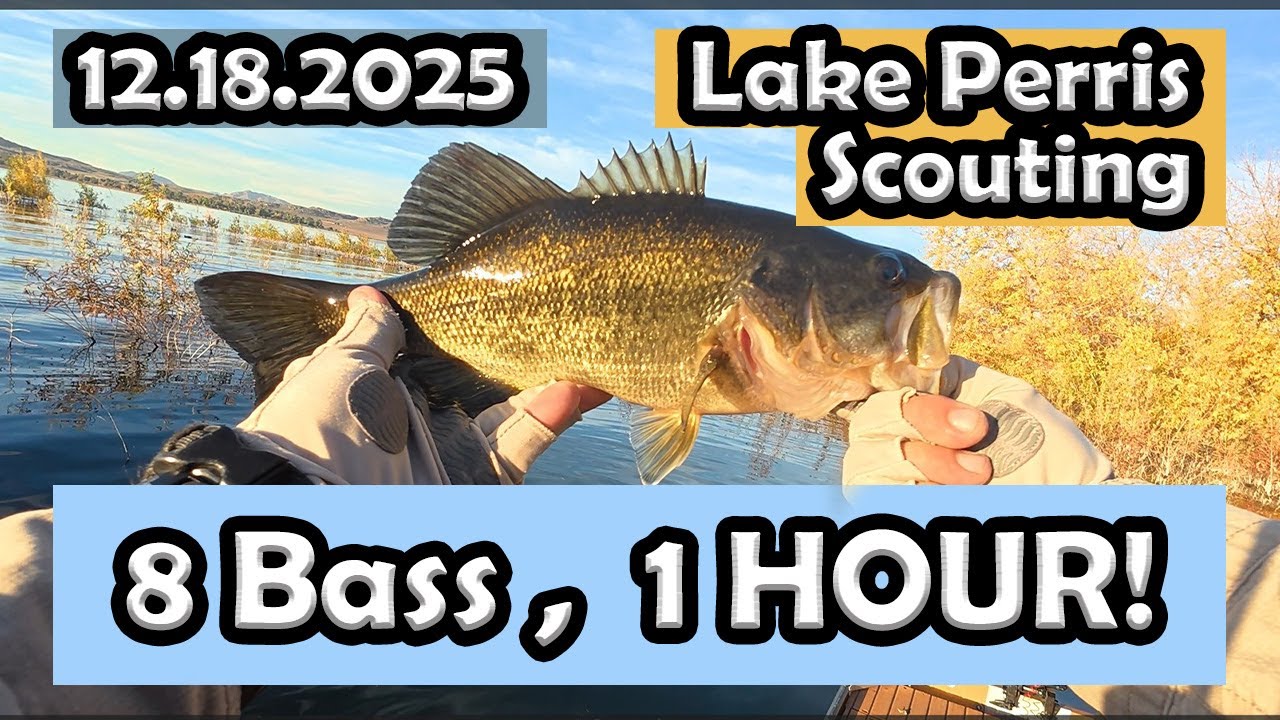 Рыбалка на озере Перрис: следовали за птицами, чтобы найти рыбу!