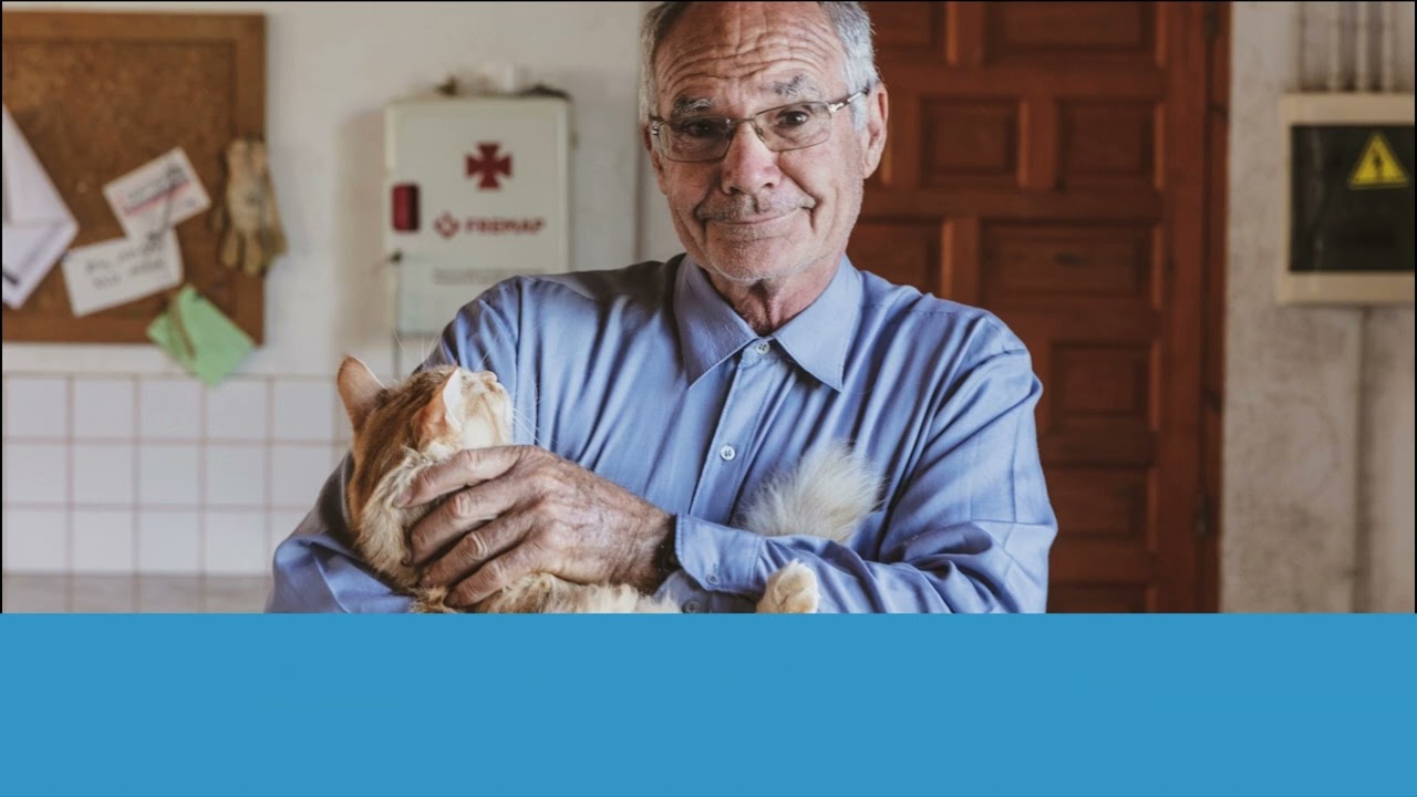 How does Mascotafind work?