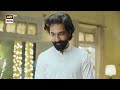 Tamashay Khatam Nahi Horhe! 😠 | Mirza ki Heer | ARY Digital