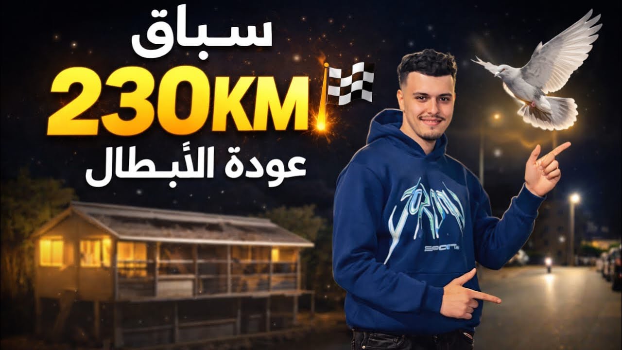 دخول الحمام من مسابقة 230كم – السرعة والقوة فسماء فاس!