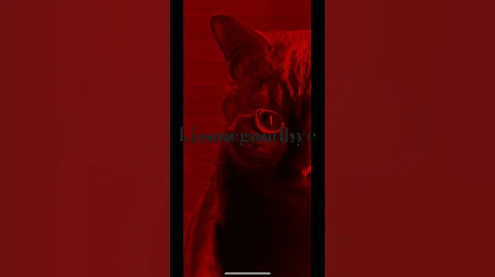 #ありがとう #櫻井敦司 #bucktick #kissmegoodbye #今井寿 #悪の華 #星野英彦 #hyde #hazuki #ヒロシ #猫好き #ネコ