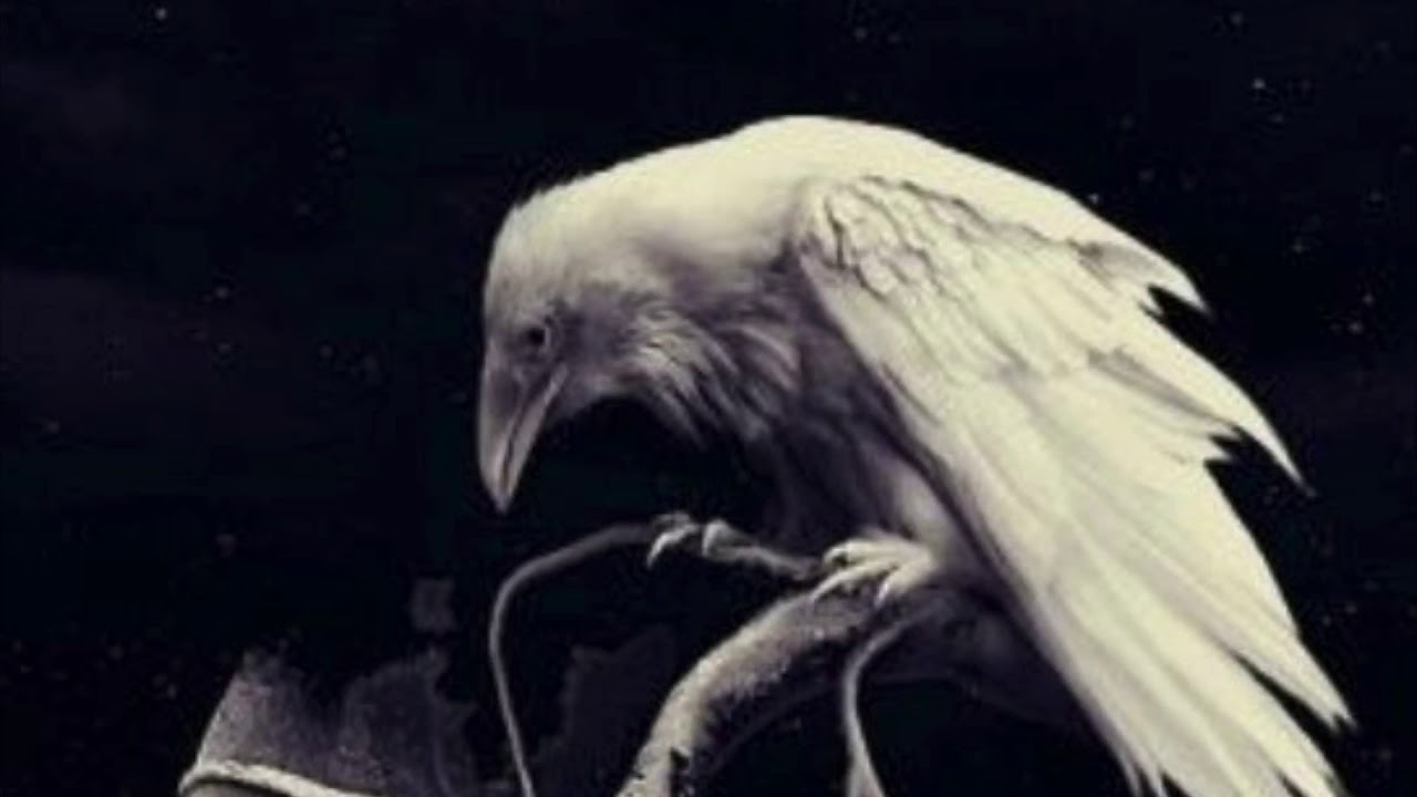 Federkleid ( S L O W E D )