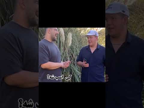اگه مجسمه ها زنده می شدن چی می شد