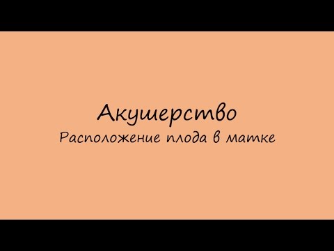 Акушерство. Положение, предлежание, позиция и вид позиции плода. Приёмы Леопольда.