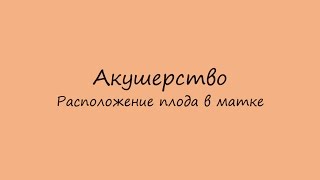 Акушерство. Положение, предлежание, позиция и вид позиции плода. Приёмы Леопольда.