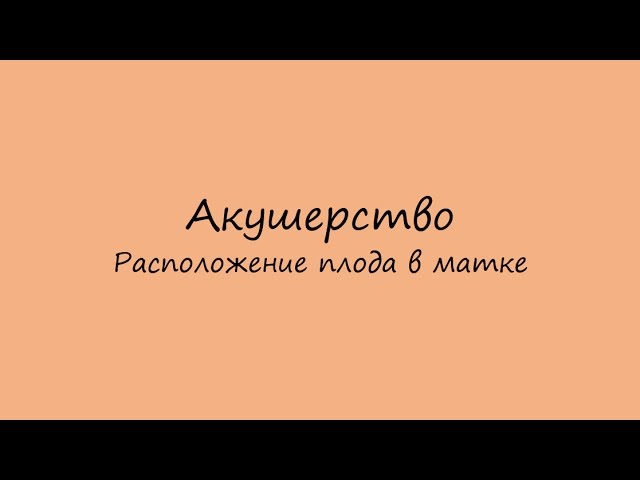 Акушерство. Положение, предлежание, позиция и вид позиции плода. Приёмы Леопольда.