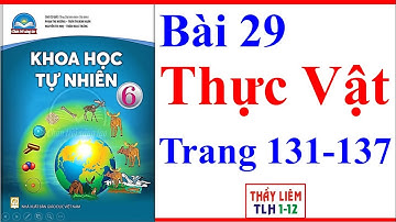 Khoa Học Tự Nhiên Lớp 6 Bài 29 | Thực Vật | Trang 131 - 137 | Chân Trời Sáng Tạo