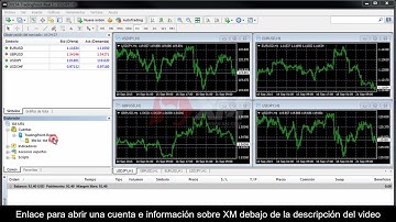 XM | Tutoriales MT4   Aspectos básicos de la ventana Explorador | Divisas