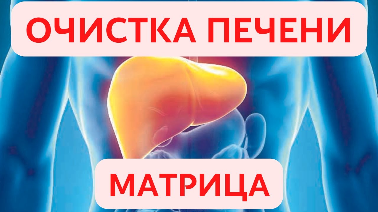 матрица гаряева очищение печени. квантовое исцеление костей. матрица петра гаряева универсальная исцеляющая. матрица гаряева 2 очищение и регенерация печени. очищение печени гаряев.