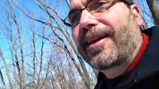 Darkwood Brew: The Gift of Failure
