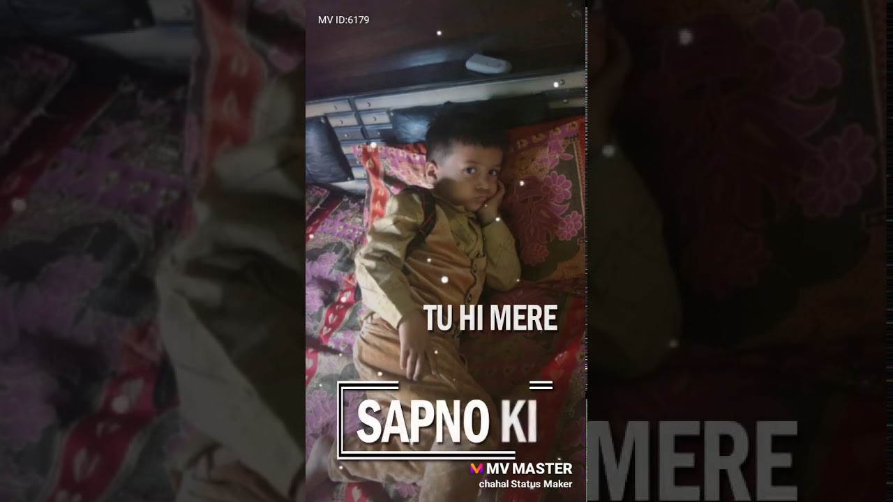Do Pal Ki Hai Yeh Zindagani