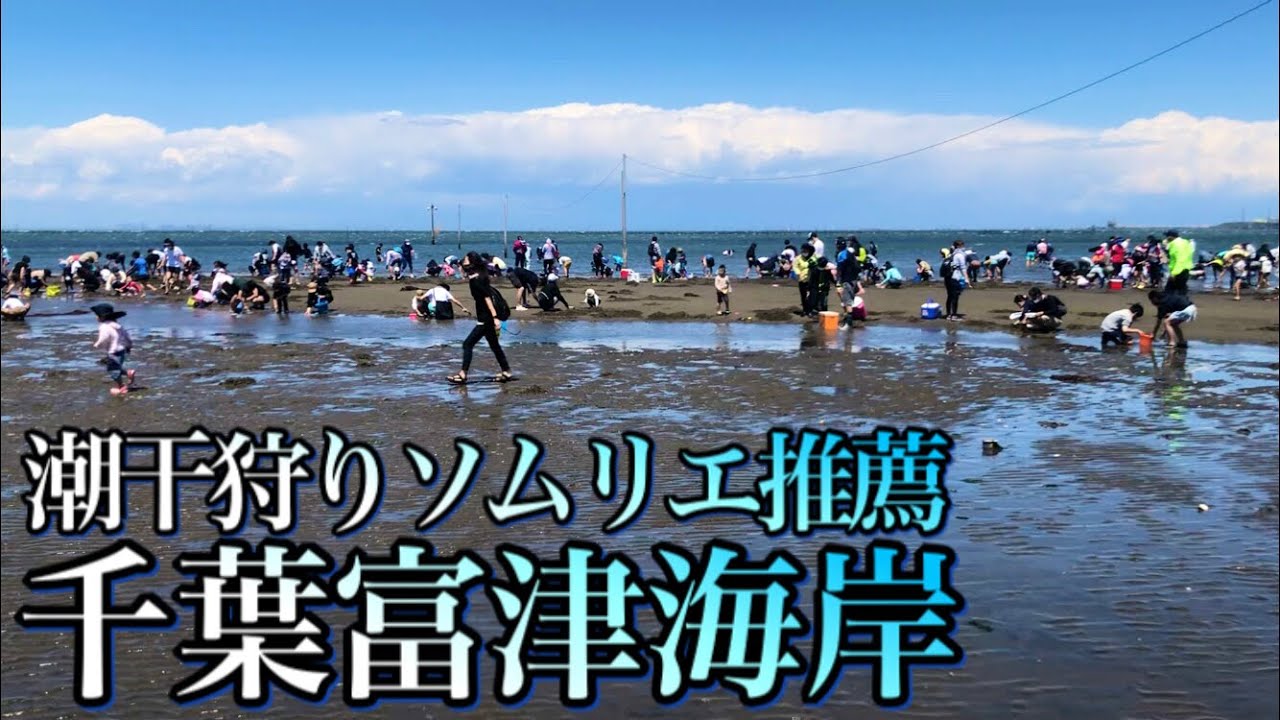 【富津海岸】潮干狩りソムリエが行く！【潮干狩り】