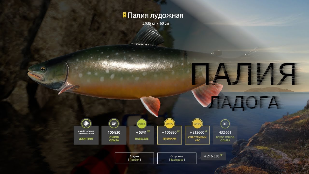 Русская рыбалка 3 Волга - ловля окуня: советы, снасти, сезоны
